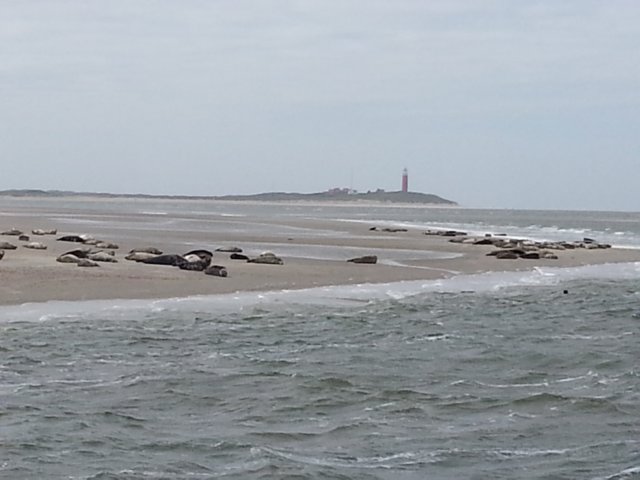 HWK Texel 122.jpg